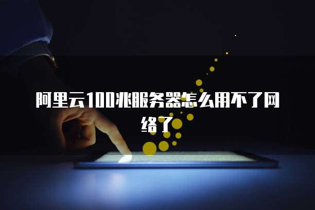 阿里云100兆服务器怎么用不了网络了