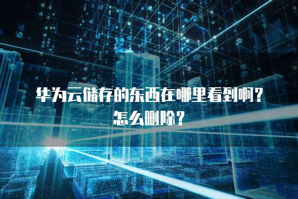 阿里云199元服务器可以搭建网络吗?为什么?