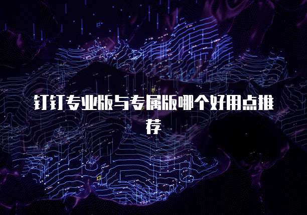 钉钉专业版与专属版哪个好用点推荐