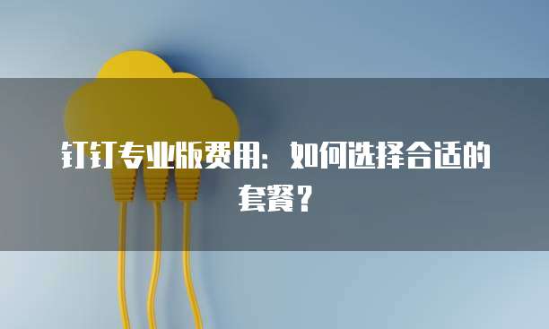 钉钉专业版费用:如何选择合适的套餐?