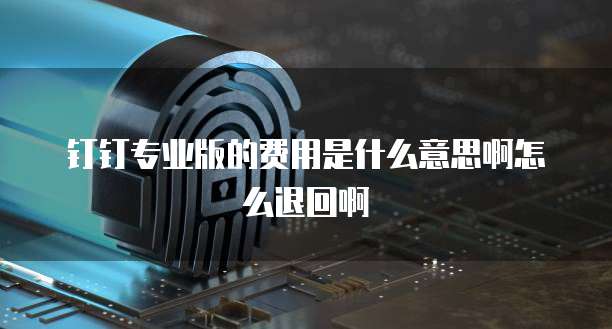 钉钉专业版的费用是什么意思啊怎么退回啊