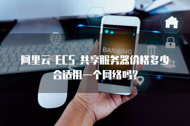 阿里云 ECS 共享服务器价格多少合适用一个网络吗?