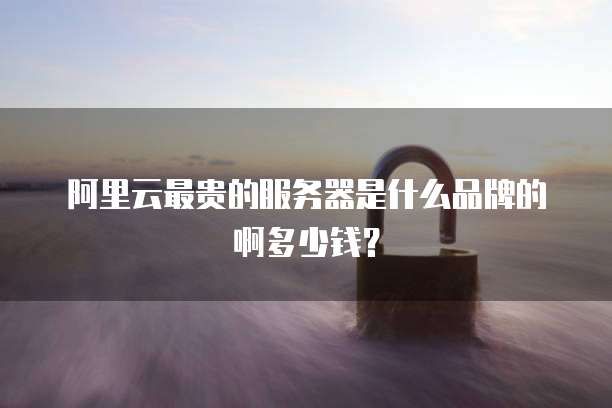 阿里云最贵的服务器是什么品牌的啊多少钱?
