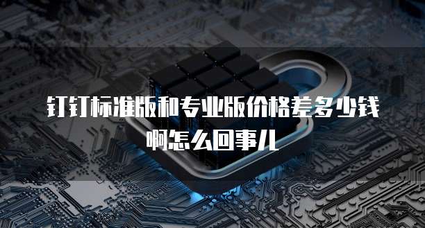 钉钉标准版和专业版价格差多少钱啊怎么回事儿