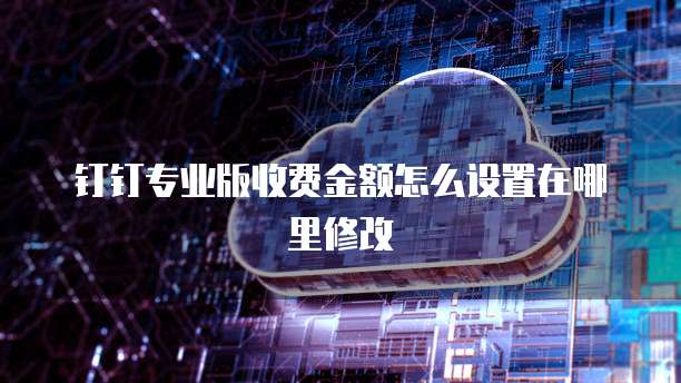 钉钉专业版收费金额怎么设置在哪里修改