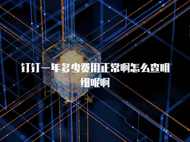 钉钉一年多少费用正常啊怎么查明细呢啊