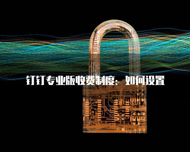 钉钉专业版收费制度：如何设置