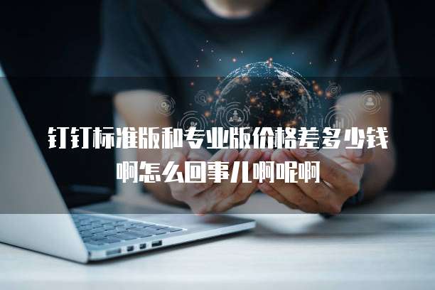 钉钉标准版和专业版价格差多少钱啊怎么回事儿啊呢啊