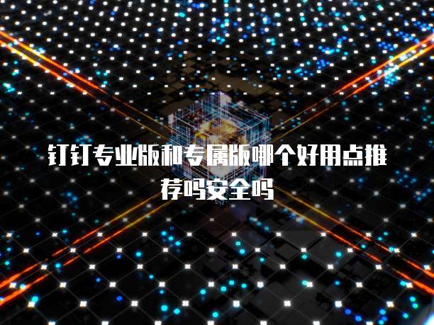 钉钉专业版和专属版哪个好用点推荐吗安全吗