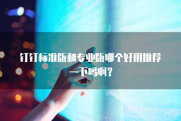 钉钉标准版和专业版哪个好用推荐一下吗啊?