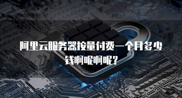 阿里云服务器按量付费一个月多少钱啊呢啊呢?
