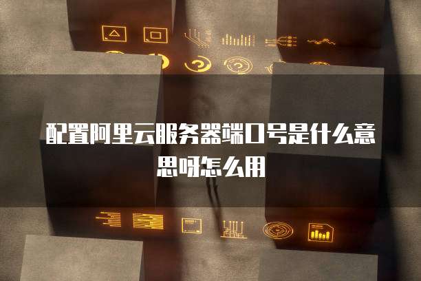 配置阿里云服务器端口号是什么意思呀怎么用