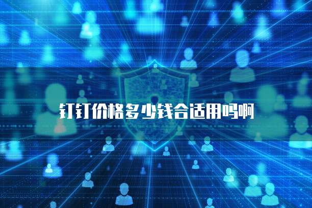 钉钉价格多少钱合适用吗啊