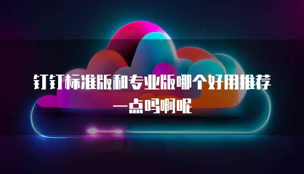 钉钉标准版和专业版哪个好用推荐一点吗啊呢