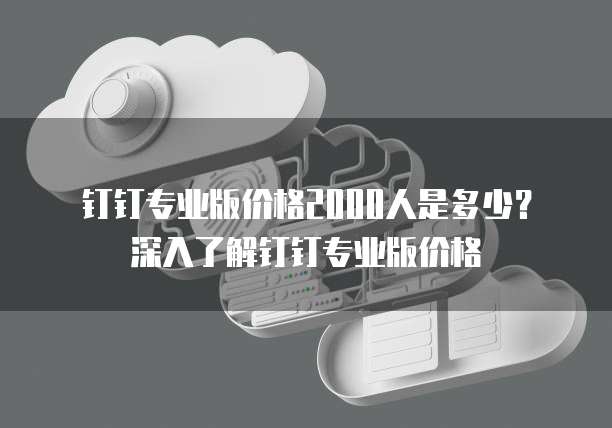 钉钉专业版价格2000人是多少?深入了解钉钉专业版价格