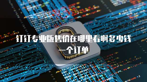 钉钉专业版售价在哪里看啊多少钱一个订单