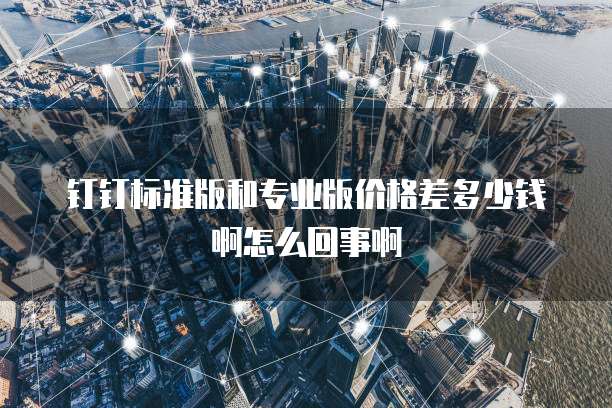 钉钉标准版和专业版价格差多少钱啊怎么回事啊