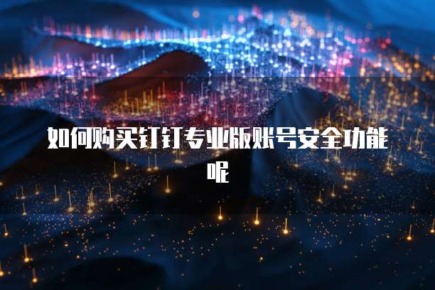如何购买钉钉专业版账号安全功能呢