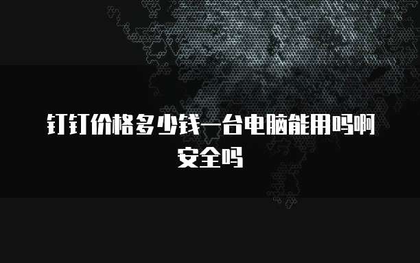 钉钉价格多少钱一台电脑能用吗啊安全吗