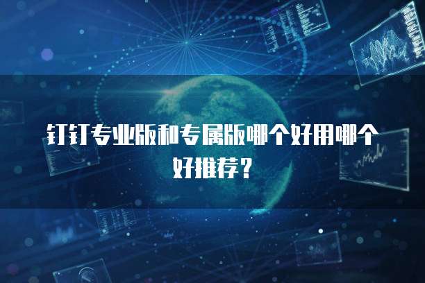 钉钉专业版和专属版哪个好用哪个好推荐?