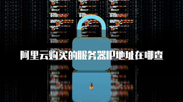 阿里云购买的服务器IP地址在哪查