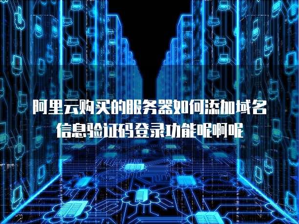 阿里云购买的服务器如何添加域名信息验证码登录功能呢啊呢