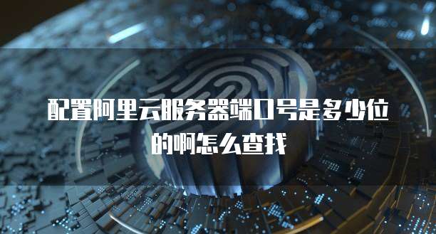 配置阿里云服务器端口号是多少位的啊怎么查找