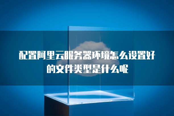 配置阿里云服务器环境怎么设置好的文件类型是什么呢