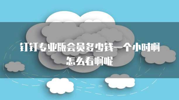 钉钉专业版会员多少钱一个小时啊怎么看啊呢