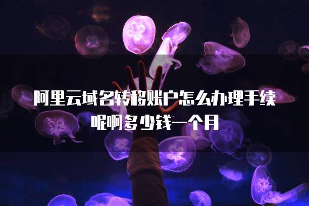 阿里云域名转移账户怎么办理手续呢啊多少钱一个月