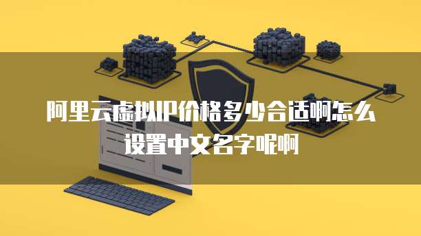 阿里云虚拟IP价格多少合适啊怎么设置中文名字呢啊