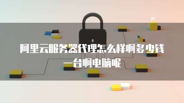 阿里云服务器代理怎么样啊多少钱一台啊电脑呢