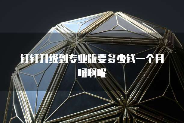 钉钉升级到专业版要多少钱一个月呀啊呢