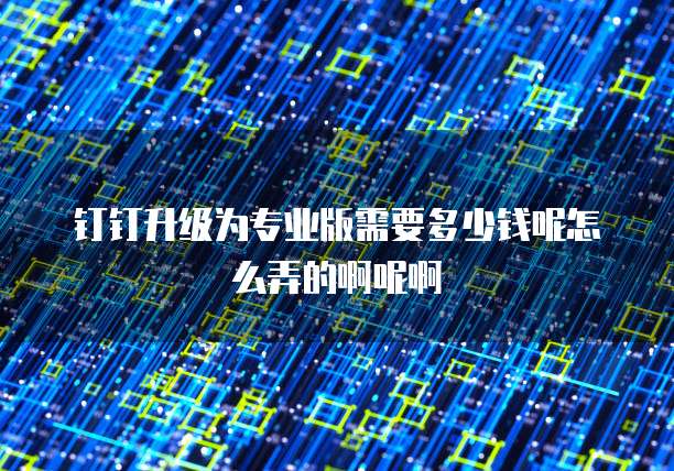 钉钉升级为专业版需要多少钱呢怎么弄的啊呢啊