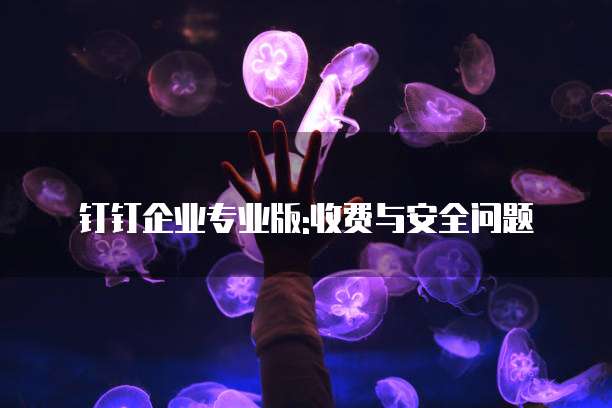 钉钉企业专业版:收费与安全问题