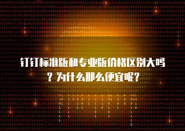 钉钉标准版和专业版价格区别大吗？为什么那么便宜呢？