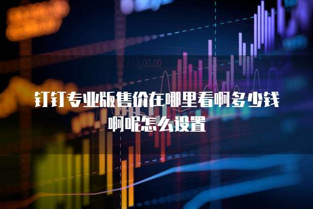 钉钉专业版售价在哪里看啊多少钱啊呢怎么设置