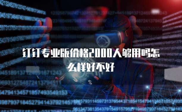 钉钉专业版价格2000人够用吗怎么样好不好