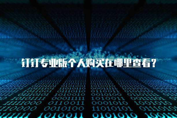 钉钉专业版个人购买在哪里查看?