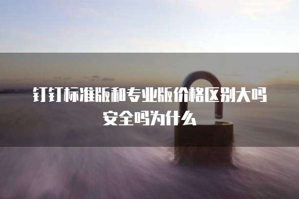 钉钉标准版和专业版价格区别大吗安全吗为什么