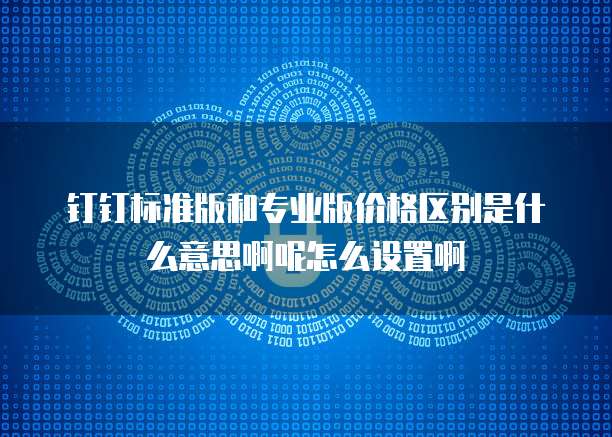 钉钉标准版和专业版价格区别是什么意思啊呢怎么设置啊