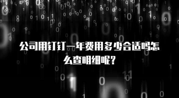 公司用钉钉一年费用多少合适吗怎么查明细呢?