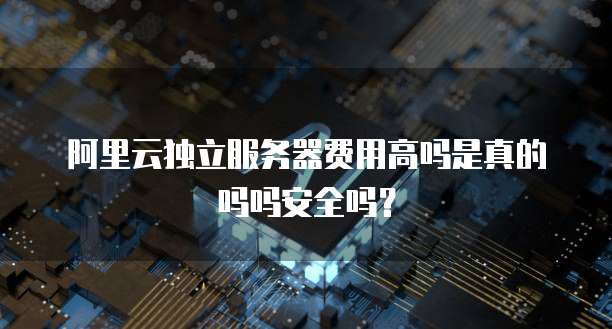 阿里云独立服务器费用高吗是真的吗吗安全吗?