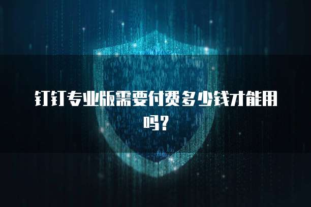 钉钉专业版需要付费多少钱才能用吗?