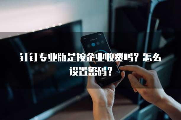 钉钉专业版是按企业收费吗？怎么设置密码？