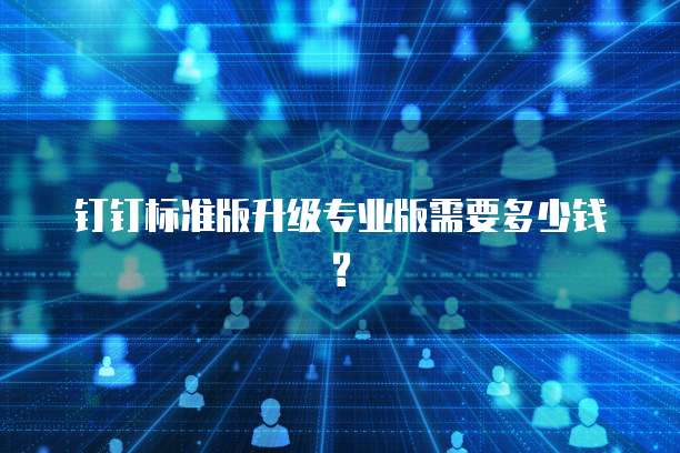 钉钉标准版升级专业版需要多少钱?