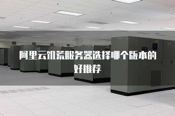 阿里云饥荒服务器选择哪个版本的好推荐