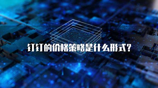 钉钉的价格策略是什么形式?