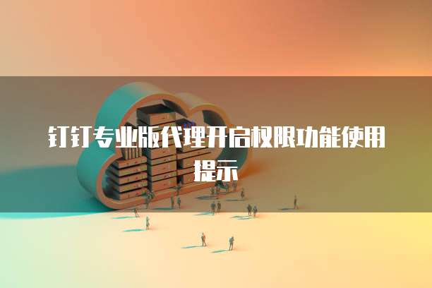 钉钉专业版代理开启权限功能使用提示
