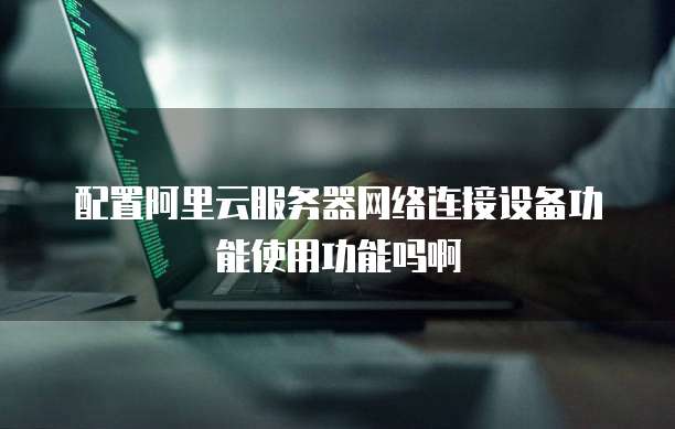 配置阿里云服务器网络连接设备功能使用功能吗啊